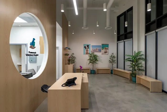 Promenade Veterinary Hospital 2
