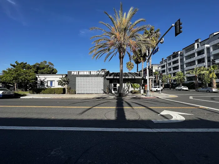 Pine Animal Hospital & Integrative Wellness Center 2