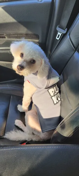 Banfield Pet Hospital 12