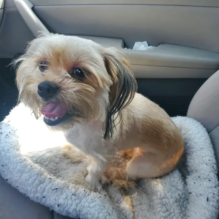 Banfield Pet Hospital 12