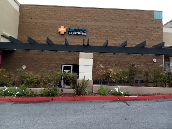 Banfield Pet Hospital 12