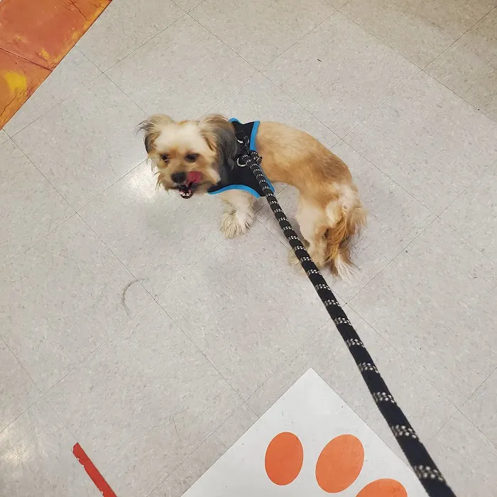 Banfield Pet Hospital 12