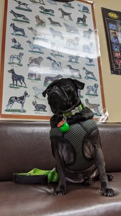 Ambassador Long Beach Veterinary Hospital 12