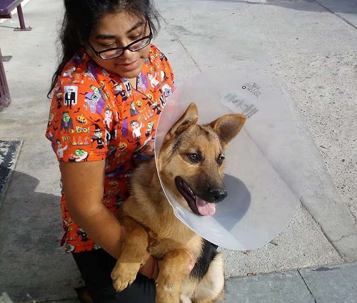 Ambassador Long Beach Veterinary Hospital 12