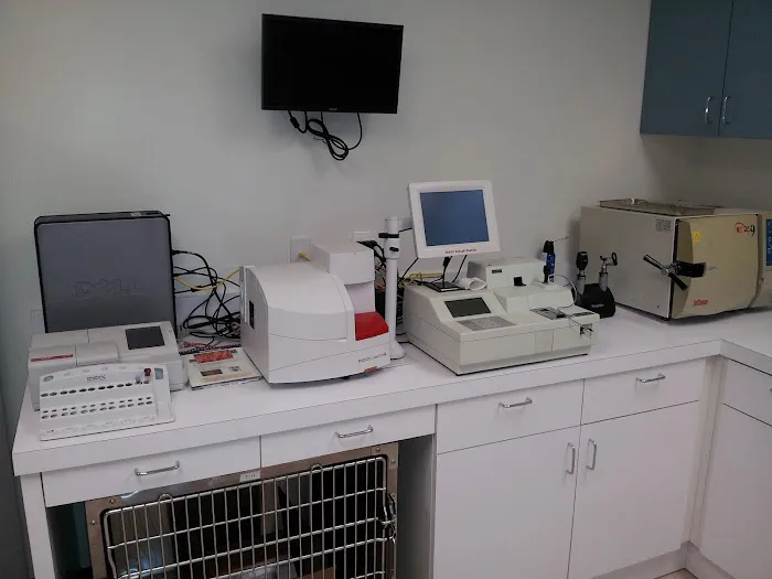 JH Animal Hospital 12