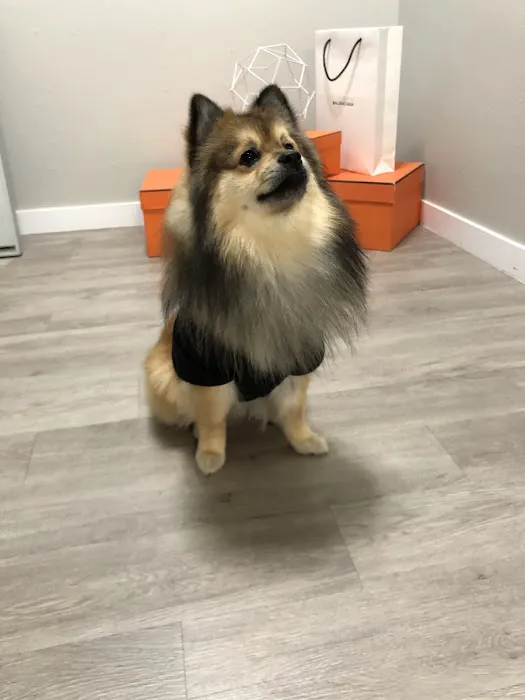 JH Animal Hospital 12