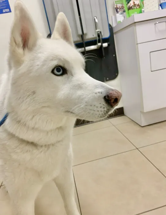JH Animal Hospital 12