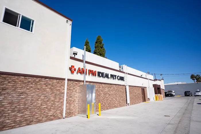 AM PM Ideal Pet Care 12