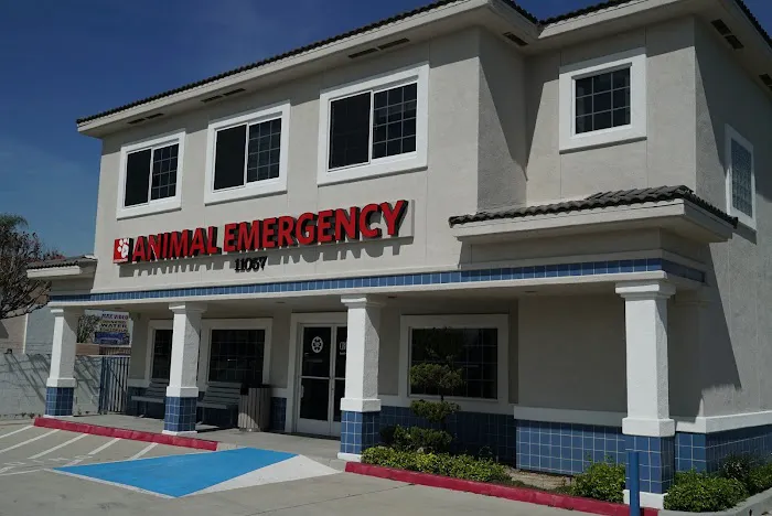 Crossroads Animal Emergency - Norwalk 12