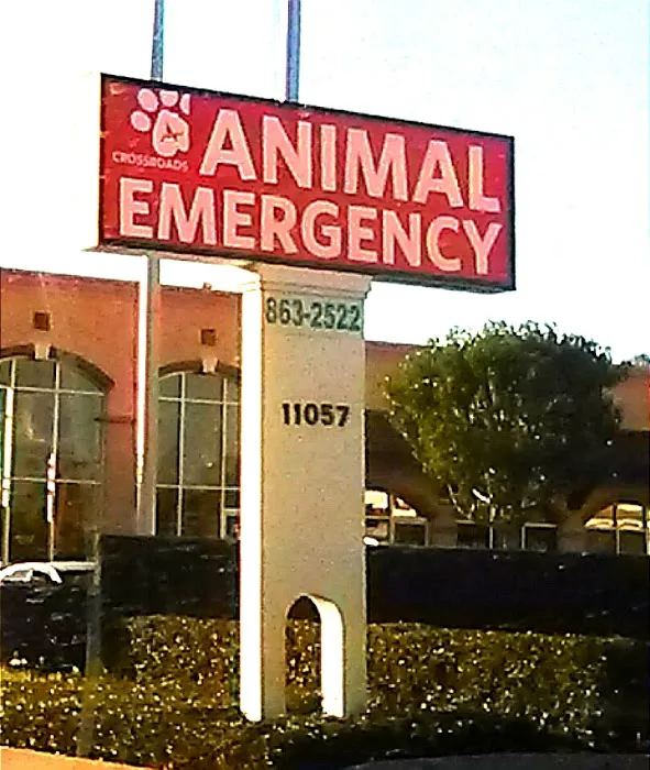 Crossroads Animal Emergency - Norwalk 12