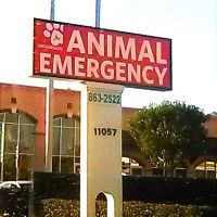 Crossroads Animal Emergency - Norwalk ico