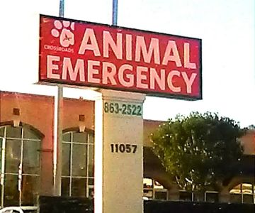 Crossroads Animal Emergency - Norwalk