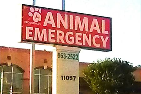 Crossroads Animal Emergency - Norwalk