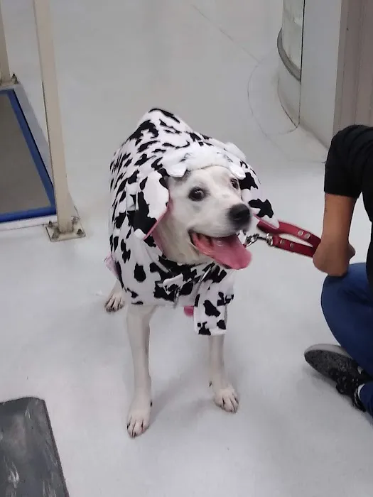 Crossroads Animal Emergency - Norwalk 12