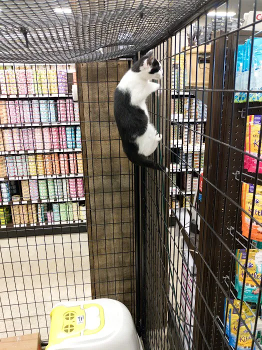 Premier Pet Supply 3