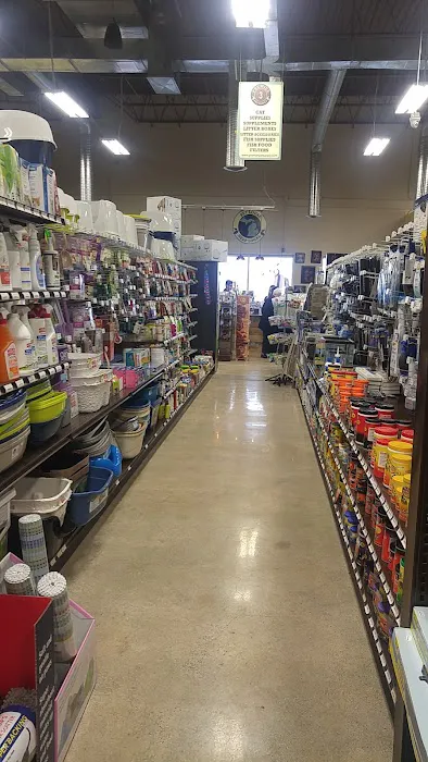 Premier Pet Supply 8