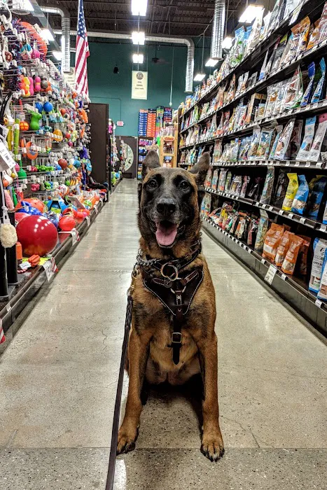 Premier Pet Supply 9