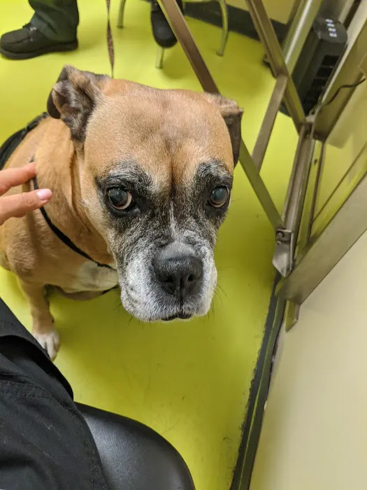 Animal Care Clinic 7