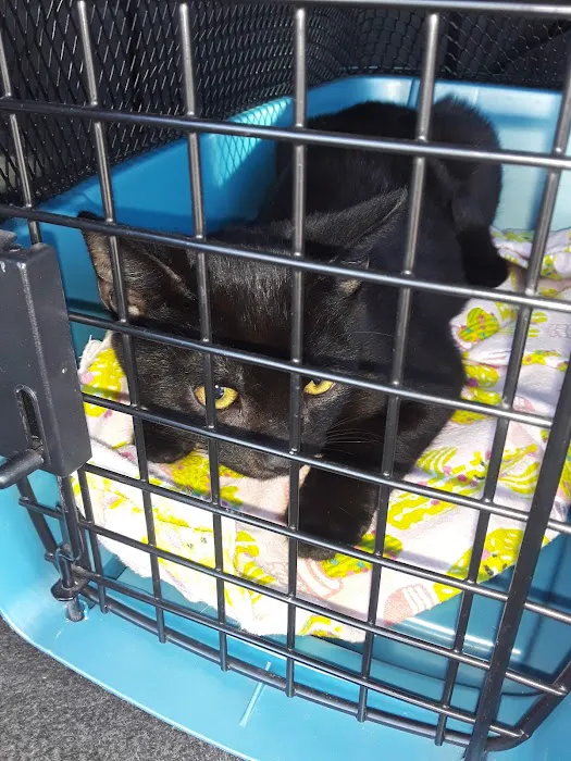 Animal Care Clinic 9