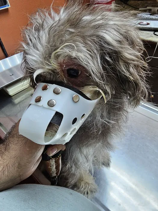 Mercy Animal Medical Center 12