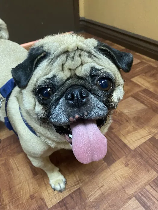 Mercy Animal Medical Center 12