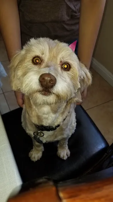 Mercy Animal Medical Center 12
