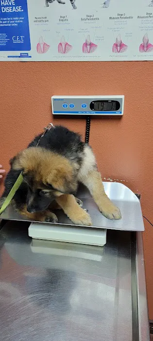 Mercy Animal Medical Center 12