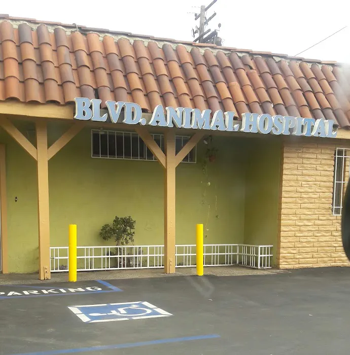 Boulevard Animal Hospital 6