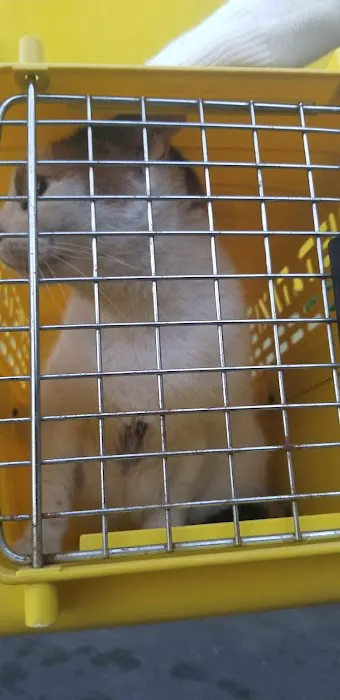 Boulevard Animal Hospital 7