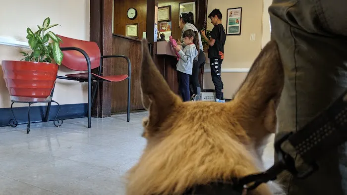 Evening Pet Clinic 3