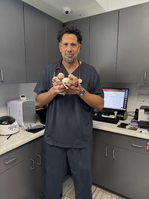 Pet Lovers Animal Hospital Long Beach 1