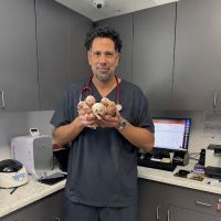 Pet Lovers Animal Hospital Long Beach ico