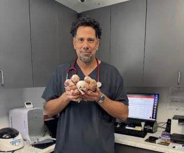 Pet Lovers Animal Hospital Long Beach