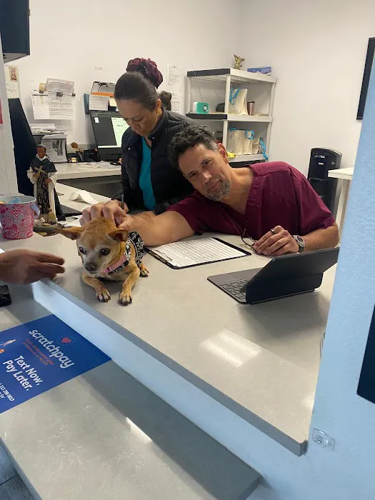 Pet Lovers Animal Hospital Long Beach 5