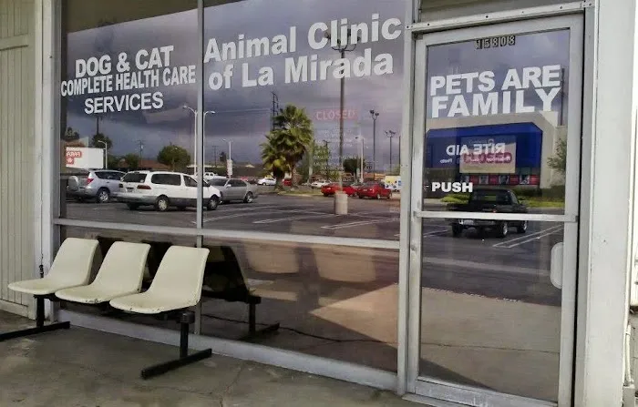 Animal Clinic of La Mirada 7