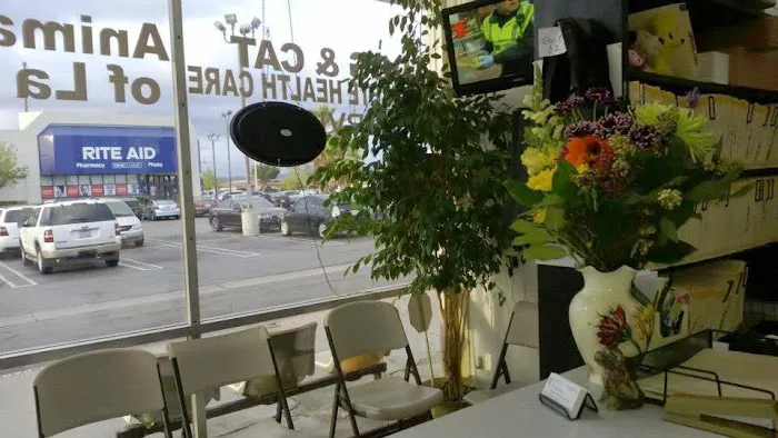 Animal Clinic of La Mirada 5