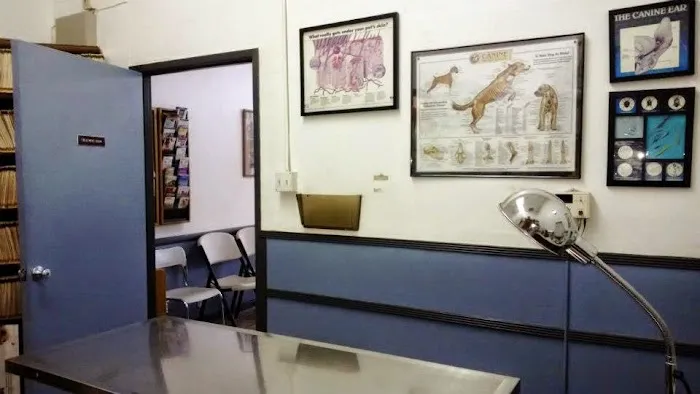 Animal Clinic of La Mirada 6