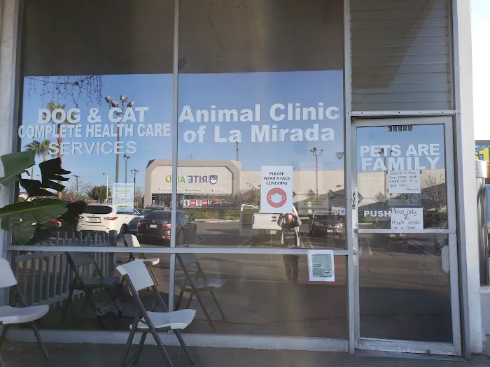Animal Clinic of La Mirada 4