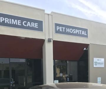 Prime Care Pet Hospital