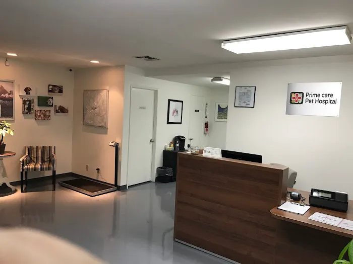 Prime Care Pet Hospital 6