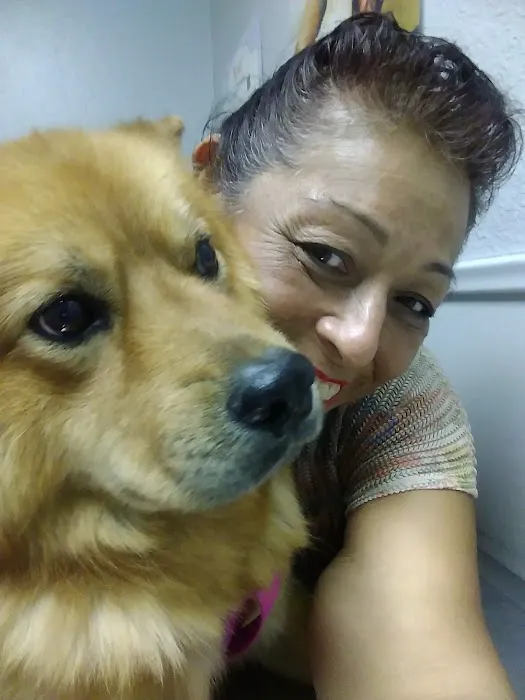 La Mirada Animal Health Center 5