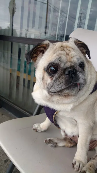 La Mirada Animal Health Center 2