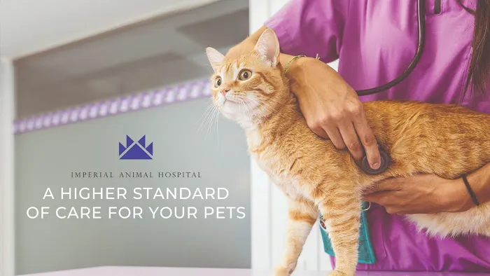 Imperial Animal Hospital 2