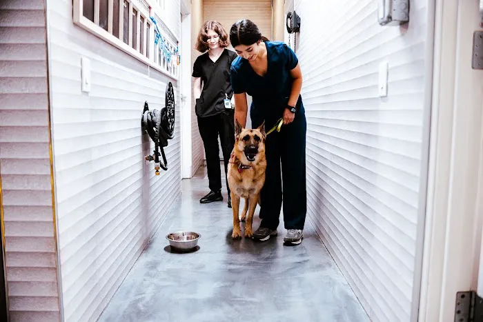 Imperial Animal Hospital 3