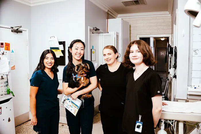 Imperial Animal Hospital 5