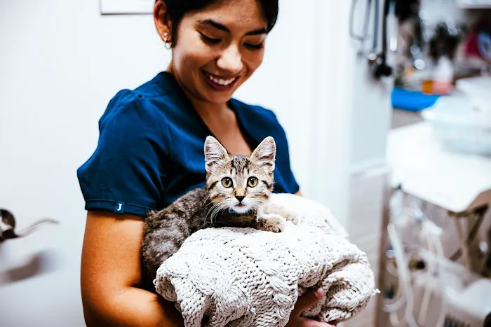 Imperial Animal Hospital 10