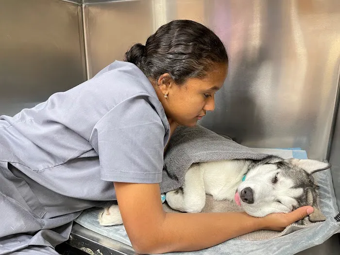 VetCheck Animal Hospital 12