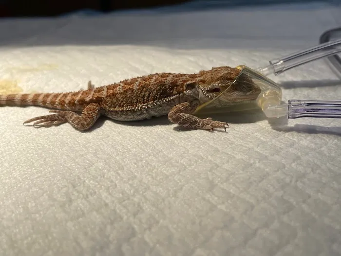 VetCheck Animal Hospital 12