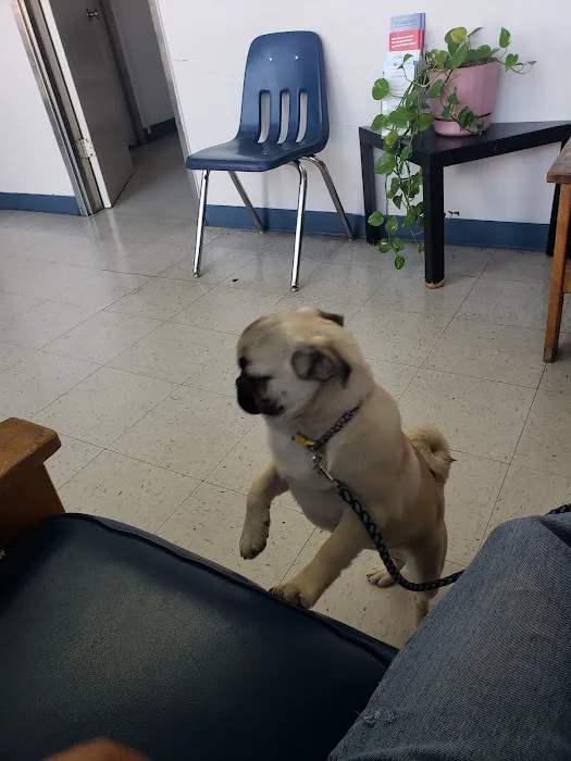 Southeast Pet Hospital 8