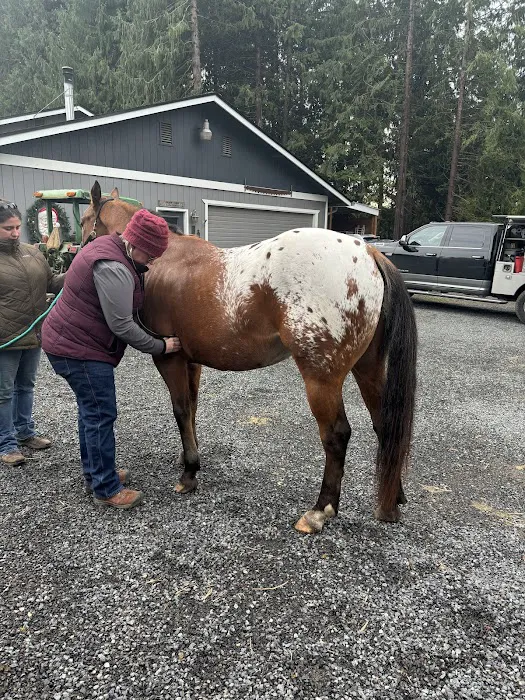 Equine Innovative Medicine 12